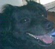 Jota