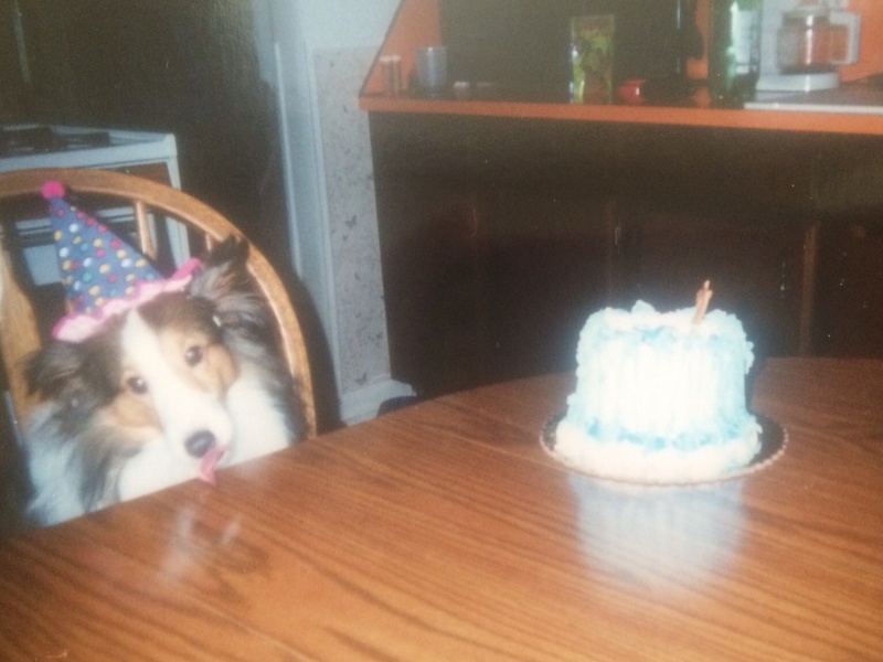 Scooby's first birthday